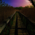 Boardwalk at Night